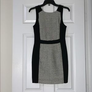 NWT BCBG Dress Shiny Cream/white Black